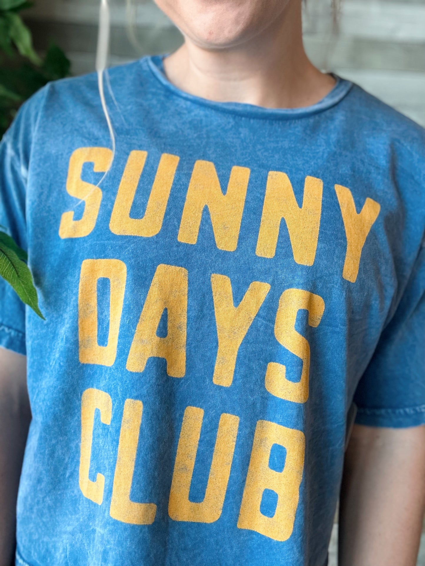 Sunny Days Club Cropped Mineral Top