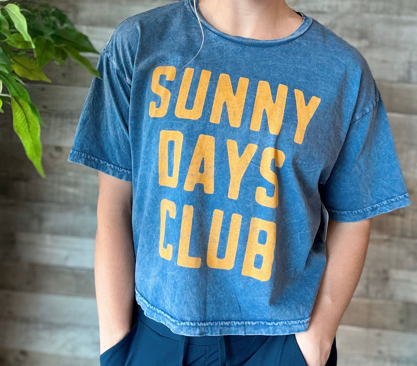 Sunny Days Club Cropped Mineral Top